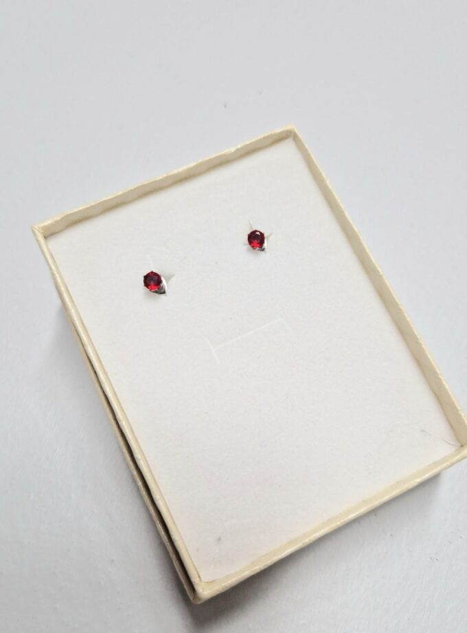 Orecchini Punto Luce Red - Micro